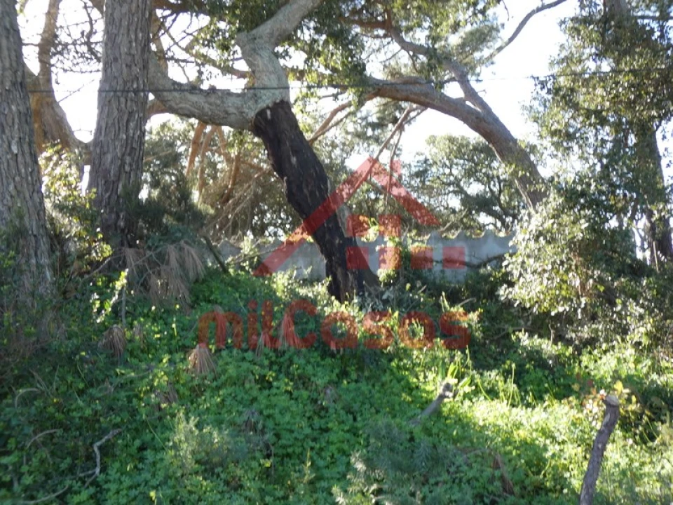 Quinta para Venda em Azueira e Sobral da Abelheira Foto 21