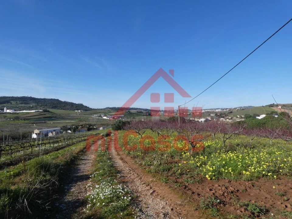 Quinta para Venda em Azueira e Sobral da Abelheira Foto 32