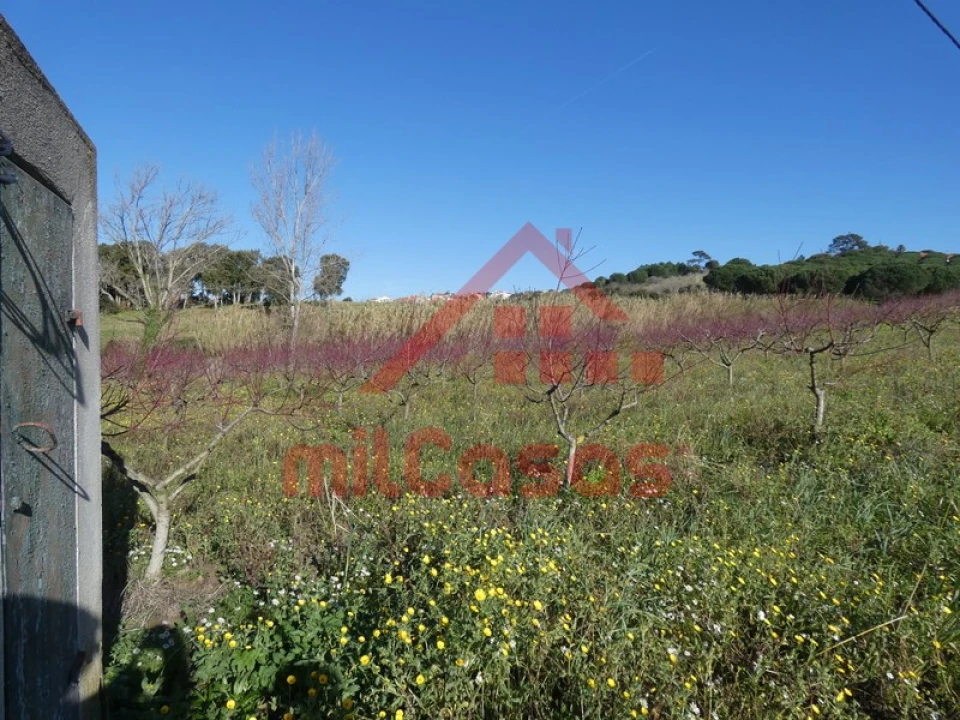 Quinta para Venda em Azueira e Sobral da Abelheira Foto 38