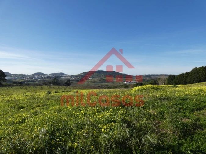 Quinta para Venda em Azueira e Sobral da Abelheira Foto 6