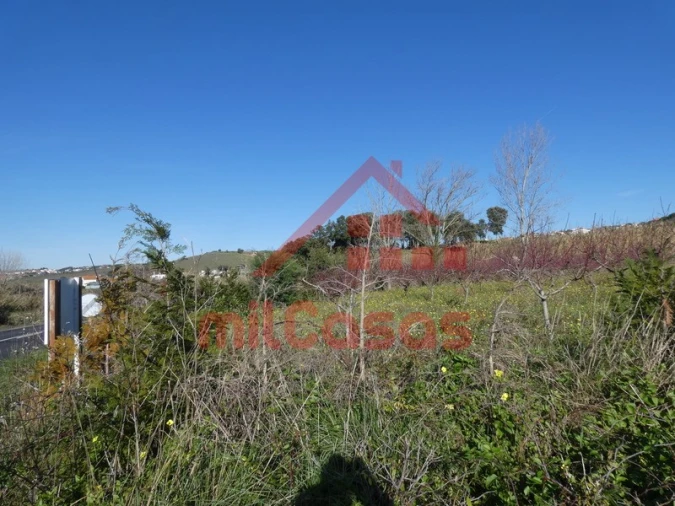 Quinta para Venda em Azueira e Sobral da Abelheira Foto 43
