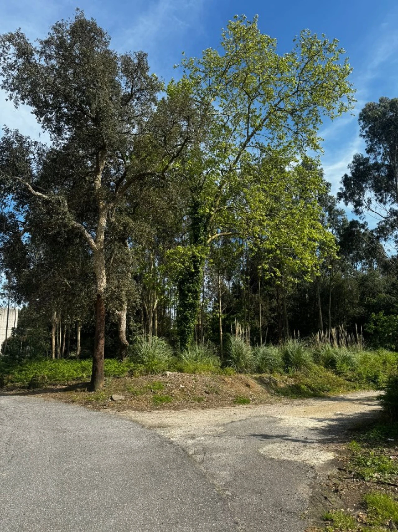 Terreno Comércio / Armazém para Venda em Serzedo e Perosinho Foto 7