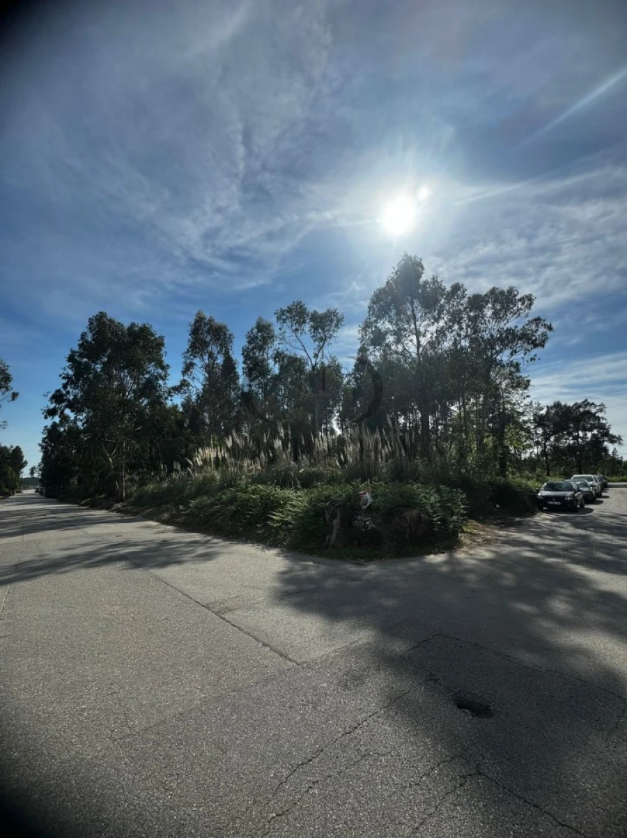 Terreno Comércio / Armazém para Venda em Serzedo e Perosinho Foto 3