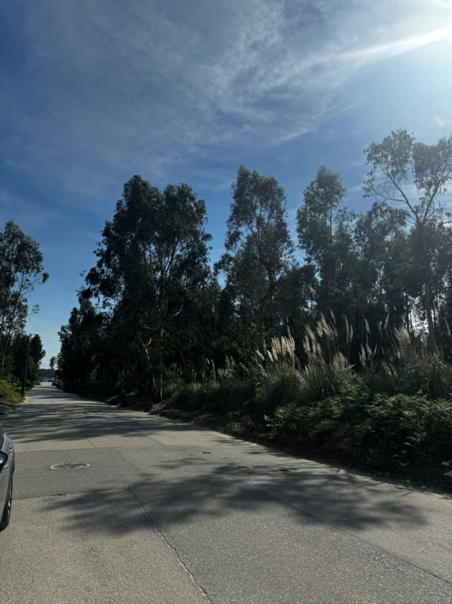 Terreno Comércio / Armazém para Venda em Serzedo e Perosinho Foto 4