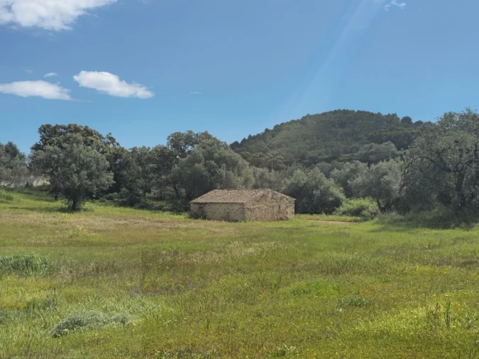 Quinta T4 para Venda em Tavira (Santa Maria e Santiago) Foto 6