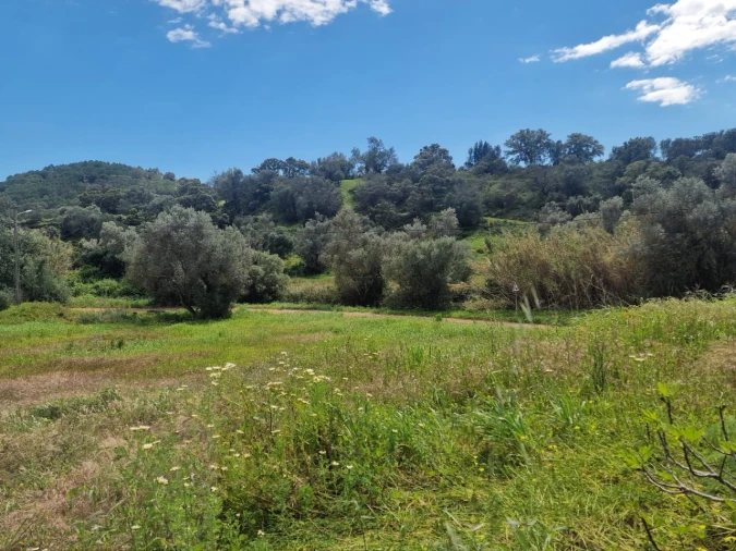 Quinta T4 para Venda em Tavira (Santa Maria e Santiago) Foto 17