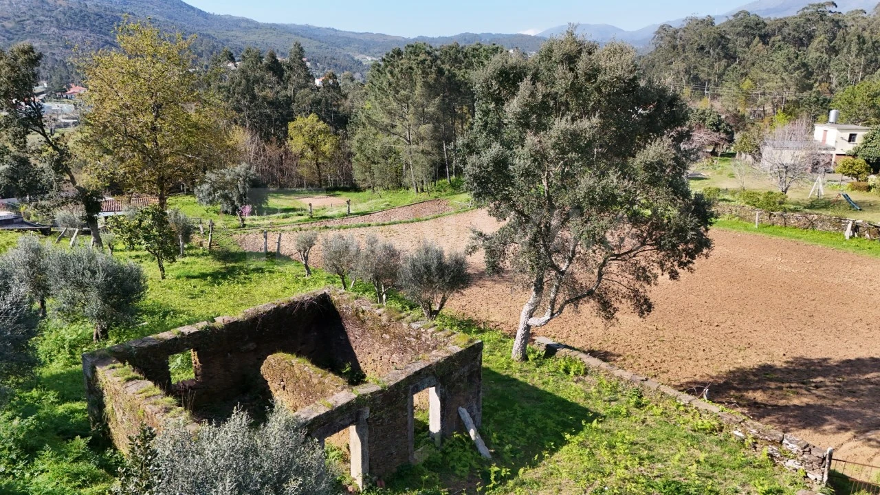 Terreno para Venda em Nogueira, Meixedo e Vilar de Murteda Foto 4