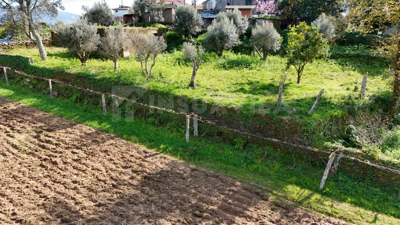 Terreno para Venda em Nogueira, Meixedo e Vilar de Murteda Foto 10