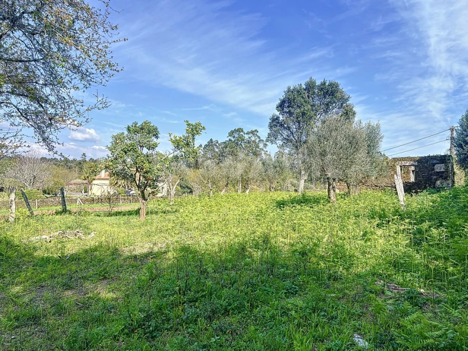 Terreno para Venda em Nogueira, Meixedo e Vilar de Murteda Foto 19