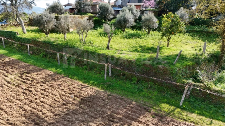 Terreno para Venda em Nogueira, Meixedo e Vilar de Murteda Foto 10