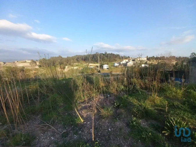 Terreno para Venda em Vila Garcia, Aboim e Chapa Foto 6