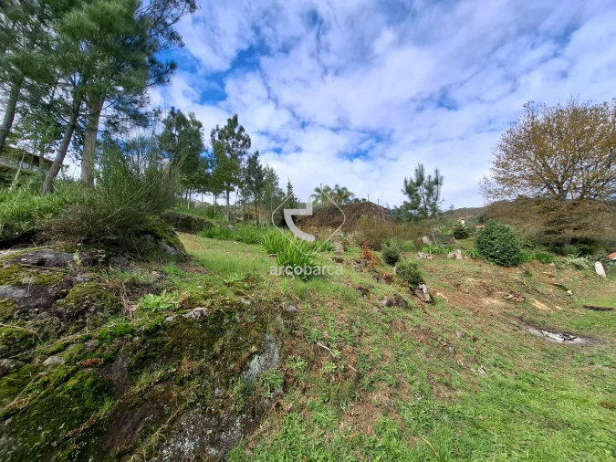 Terreno para Venda em Cabração e Moreira do Lima Foto 4