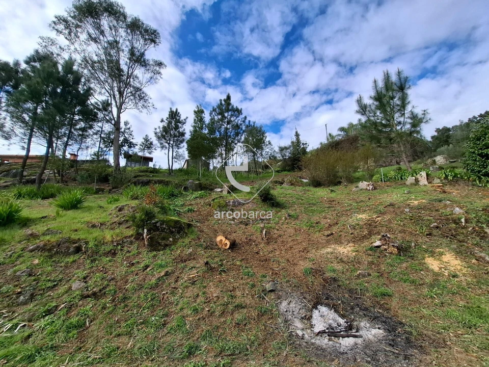 Terreno para Venda em Cabração e Moreira do Lima Foto 5