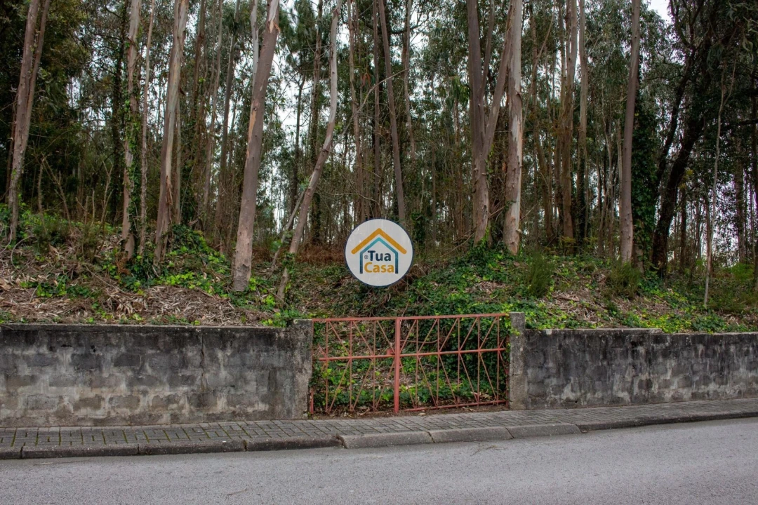 Terreno para Venda em Lourosa Foto 1