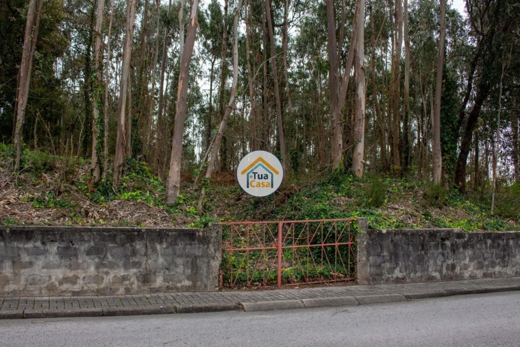 Terreno para Venda em Lourosa Foto 15