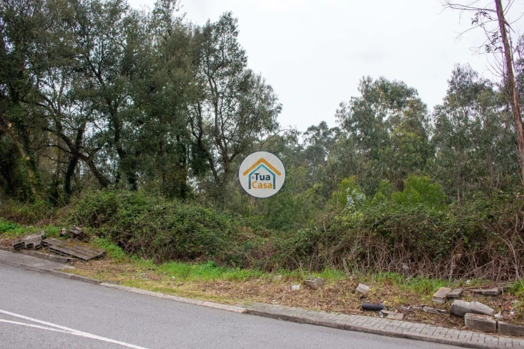 Terreno para Venda em Lourosa Foto 3