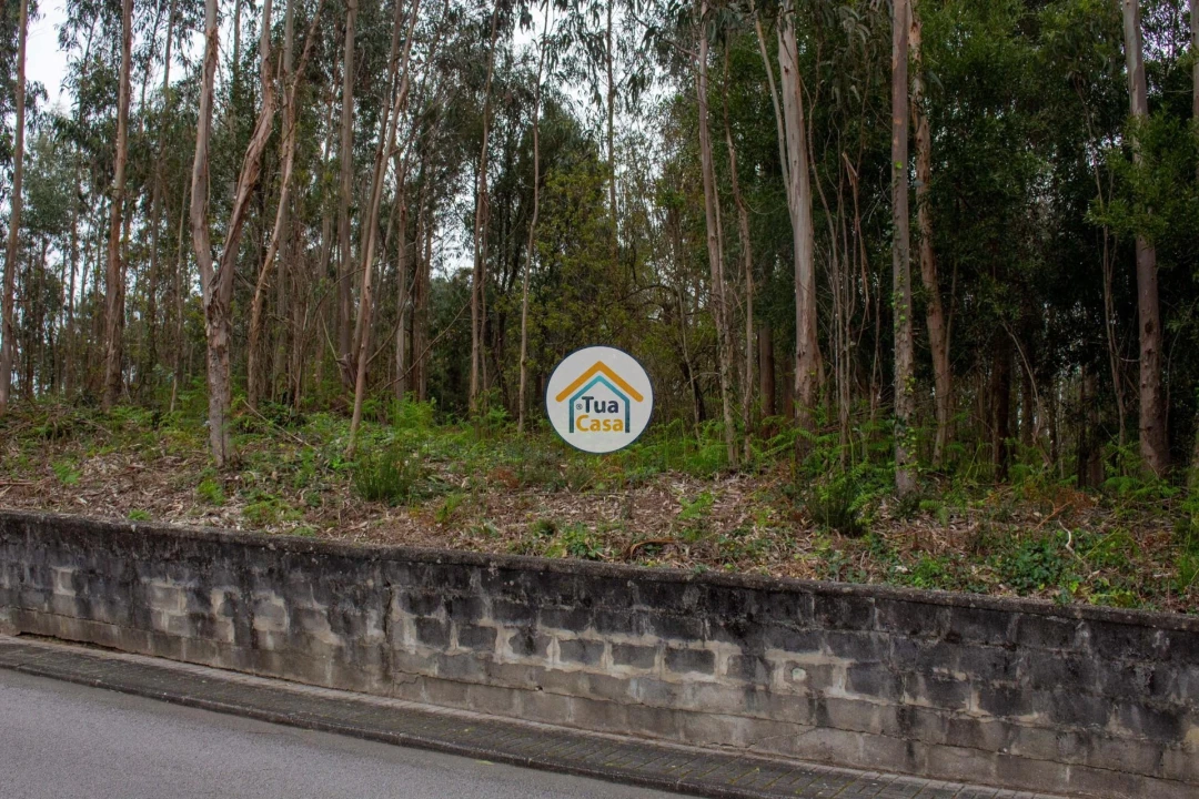 Terreno para Venda em Lourosa Foto 8
