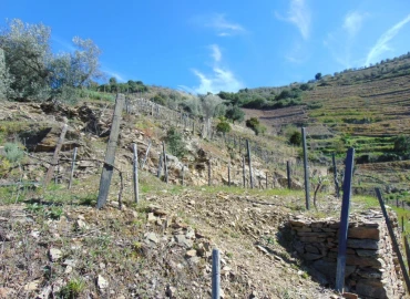 Terreno para Venda em Abaças