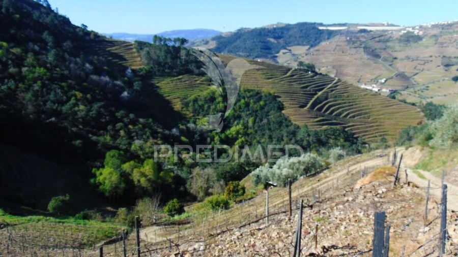 Terreno para Venda em Abaças