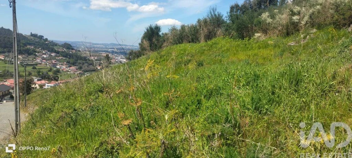 Terreno para Venda em São Tomé de Negrelos Foto 16