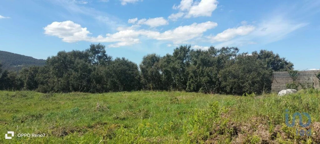 Terreno para Venda em São Tomé de Negrelos Foto 5