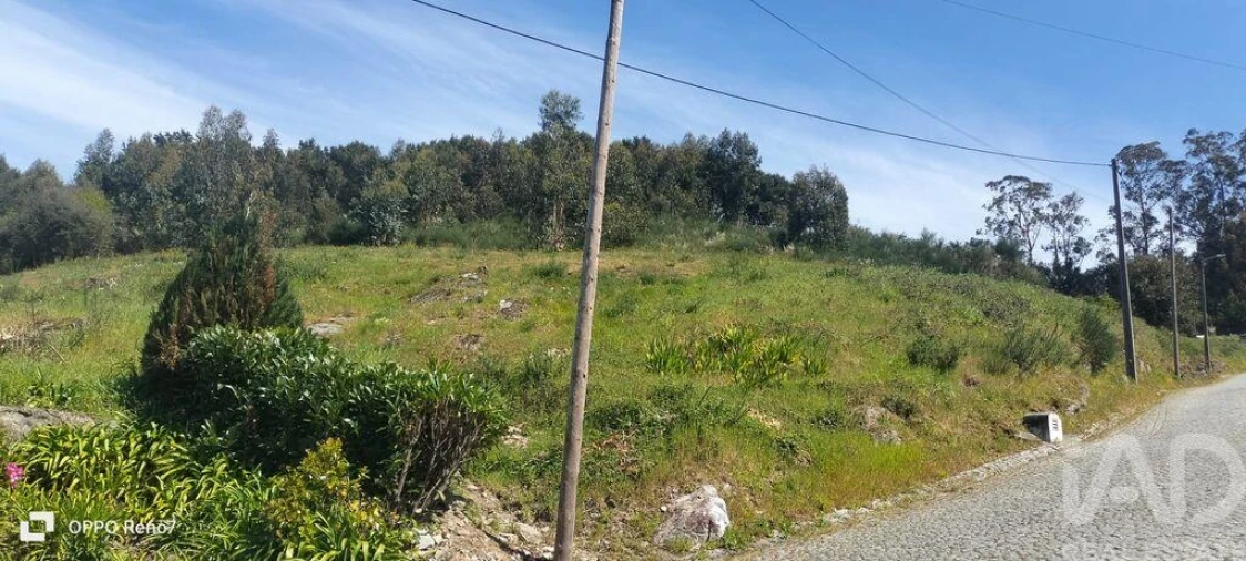 Terreno para Venda em São Tomé de Negrelos Foto 24
