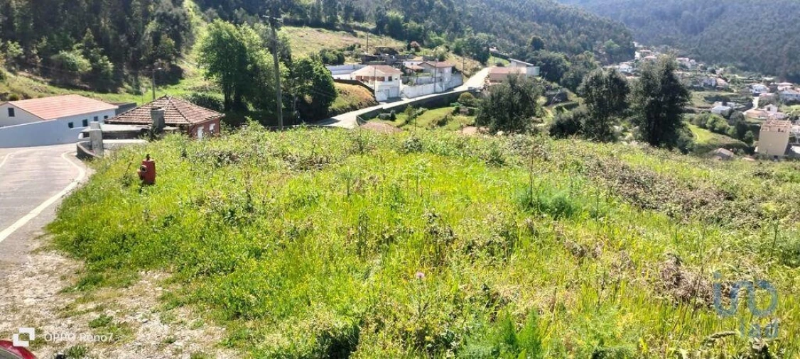 Terreno para Venda em São Tomé de Negrelos Foto 13