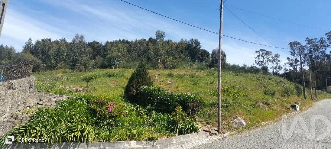 Terreno para Venda em São Tomé de Negrelos Foto 23