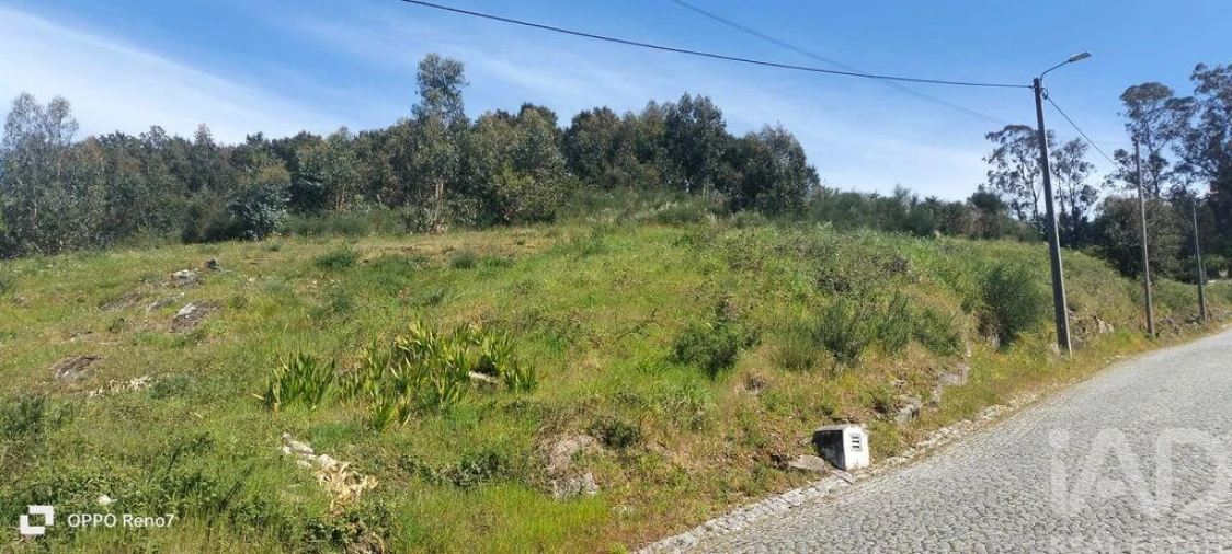 Terreno para Venda em São Tomé de Negrelos Foto 22