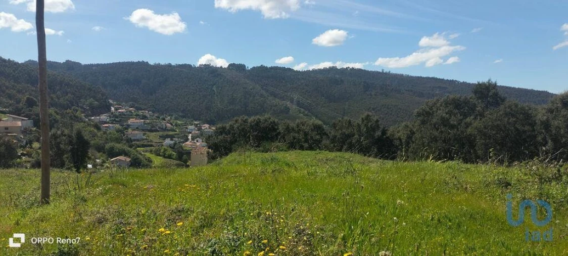 Terreno para Venda em São Tomé de Negrelos Foto 10