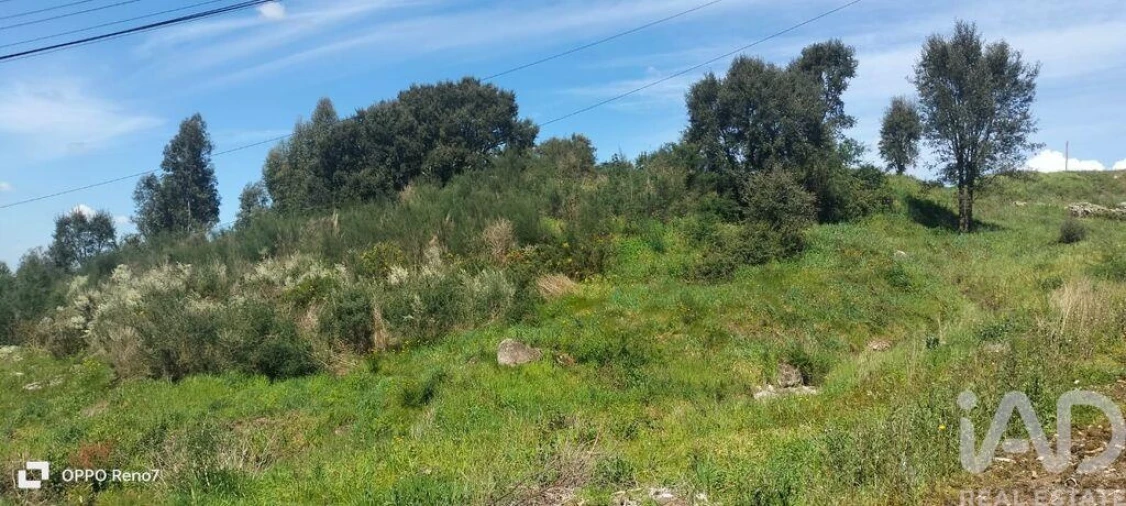 Terreno para Venda em São Tomé de Negrelos Foto 18