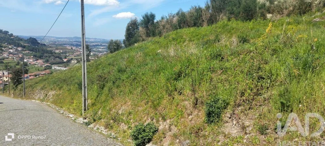 Terreno para Venda em São Tomé de Negrelos Foto 15