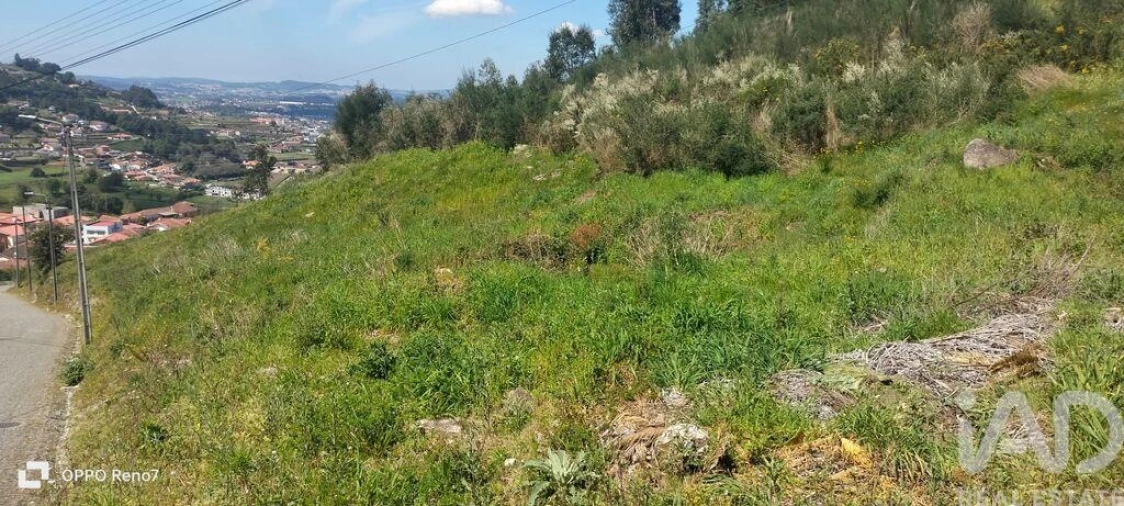 Terreno para Venda em São Tomé de Negrelos Foto 19
