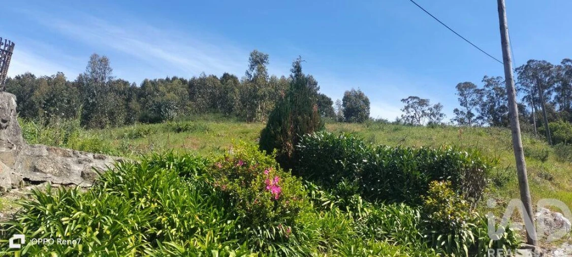 Terreno para Venda em São Tomé de Negrelos Foto 28