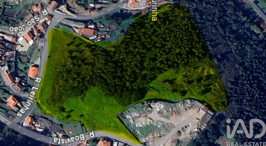 Terreno para Venda em São Tomé de Negrelos Foto 1