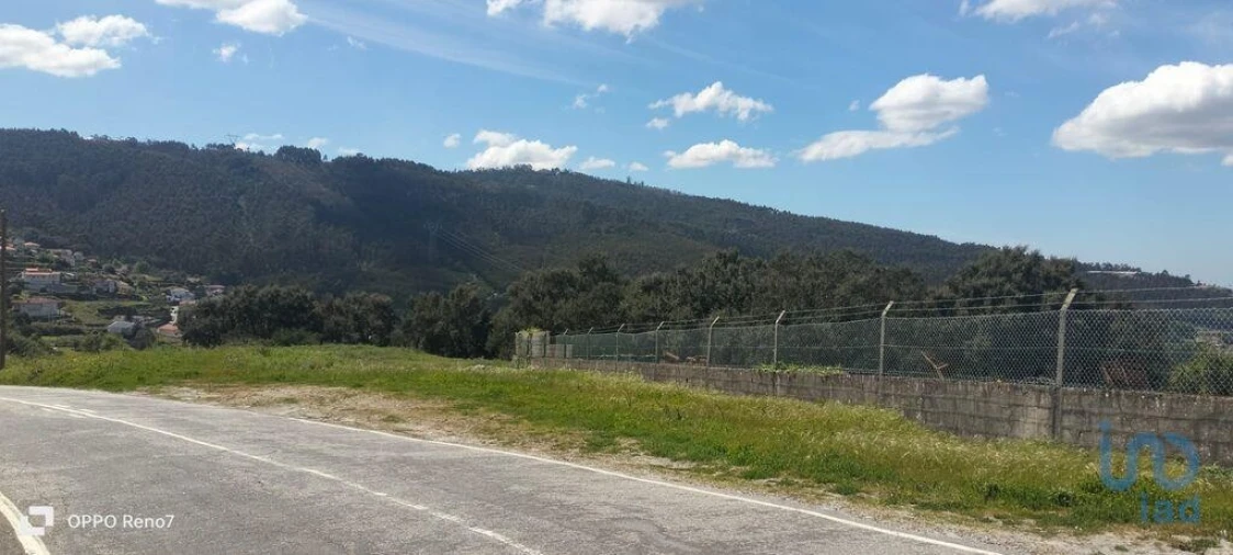 Terreno para Venda em São Tomé de Negrelos Foto 3