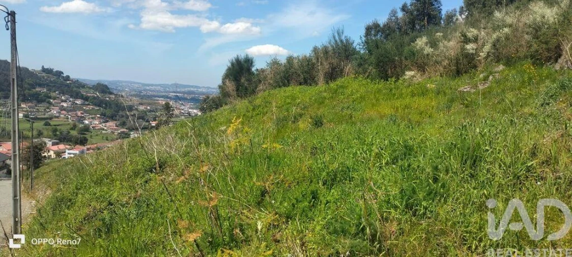 Terreno para Venda em São Tomé de Negrelos Foto 21