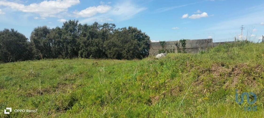 Terreno para Venda em São Tomé de Negrelos Foto 7