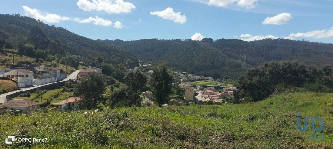 Terreno para Venda em São Tomé de Negrelos Foto 11