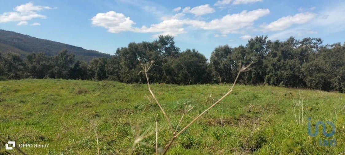 Terreno para Venda em São Tomé de Negrelos Foto 8