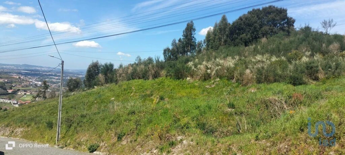 Terreno para Venda em São Tomé de Negrelos Foto 14
