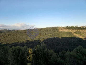 Apartamento T1 para Venda em Valongo