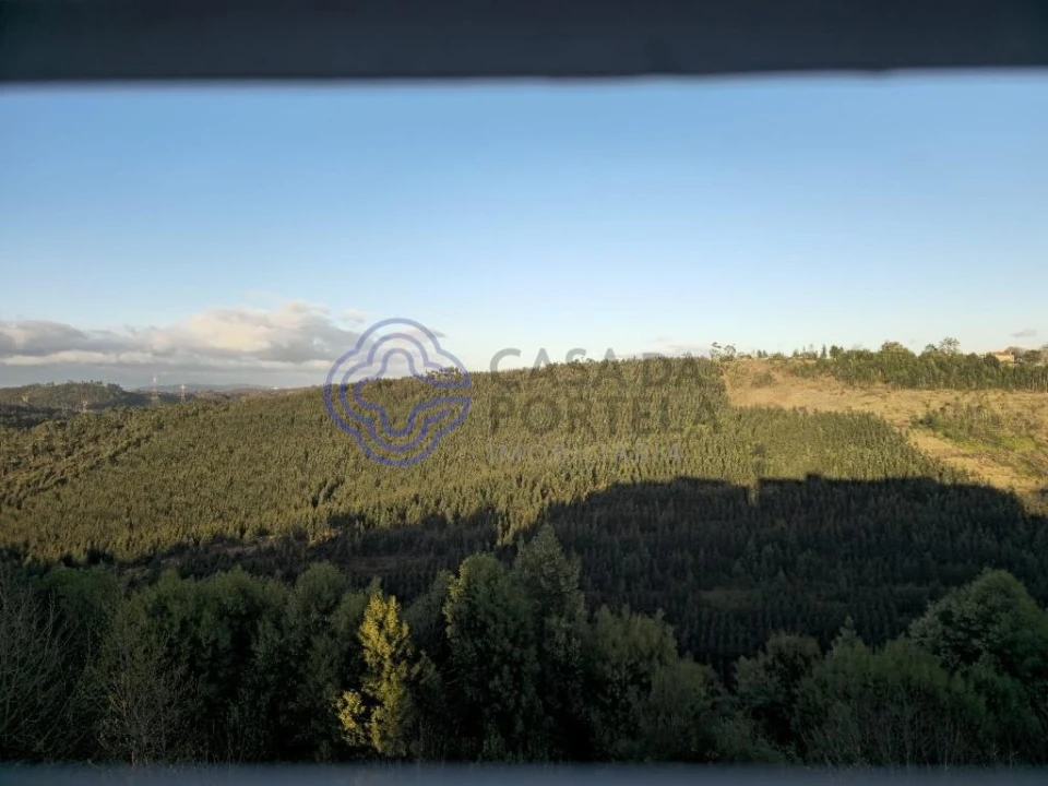 Apartamento T1 para Venda em Valongo Foto 35
