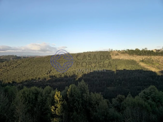 Apartamento T1 para Venda em Valongo Foto 25
