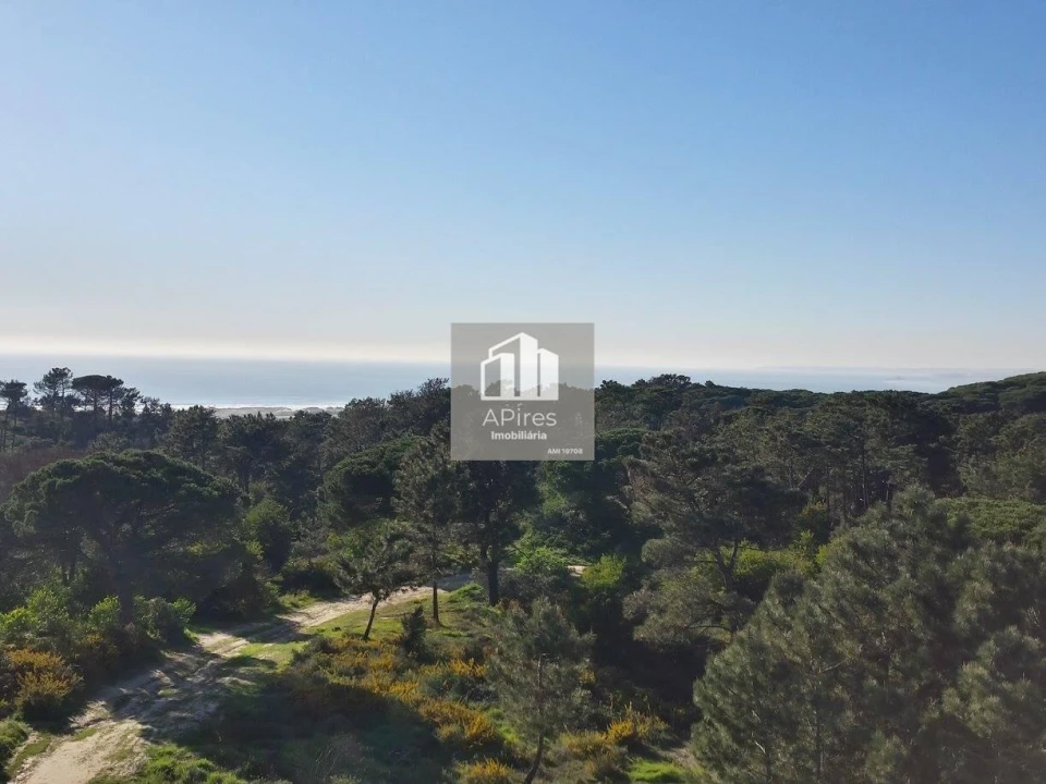 Apartamento T3 para Venda em Charneca de Caparica e Sobreda Foto 11