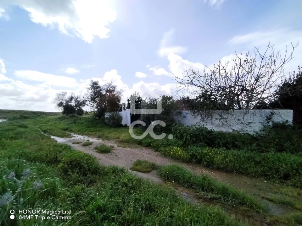 Terreno para Venda em Entradas Foto 1