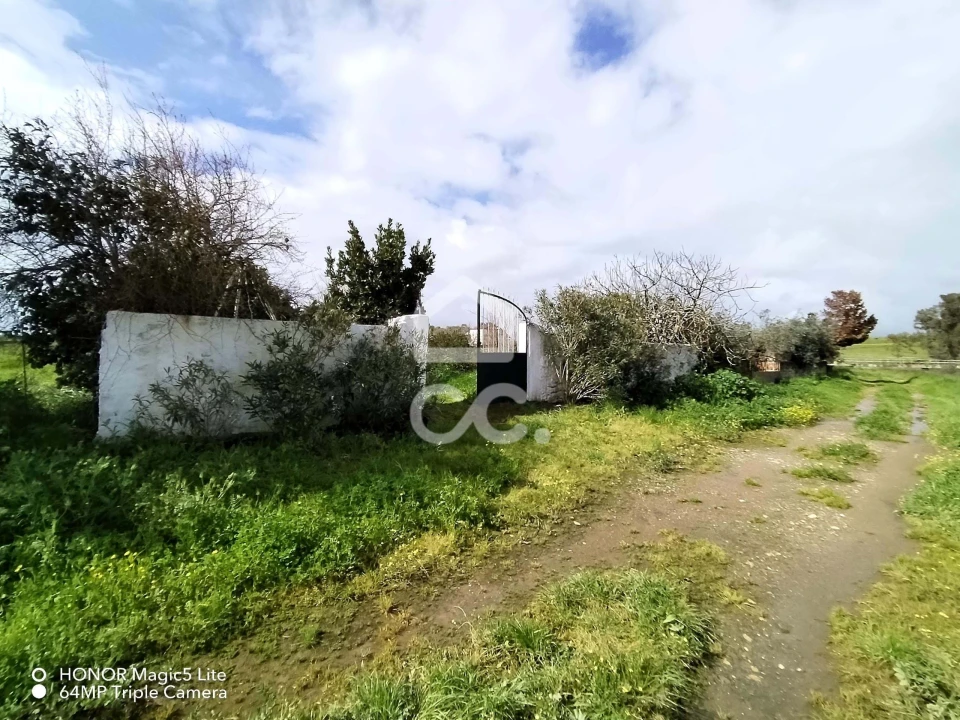 Terreno para Venda em Entradas Foto 12