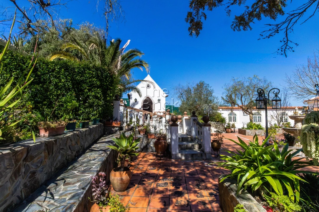 Quinta T4 para Venda em Pontevel Foto 20