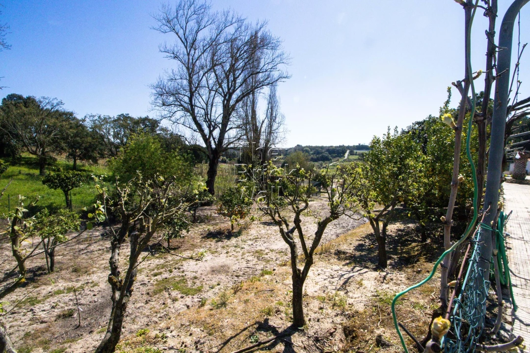 Quinta T4 para Venda em Pontevel Foto 34