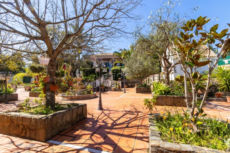 Quinta T4 para Venda em Pontevel Foto 30